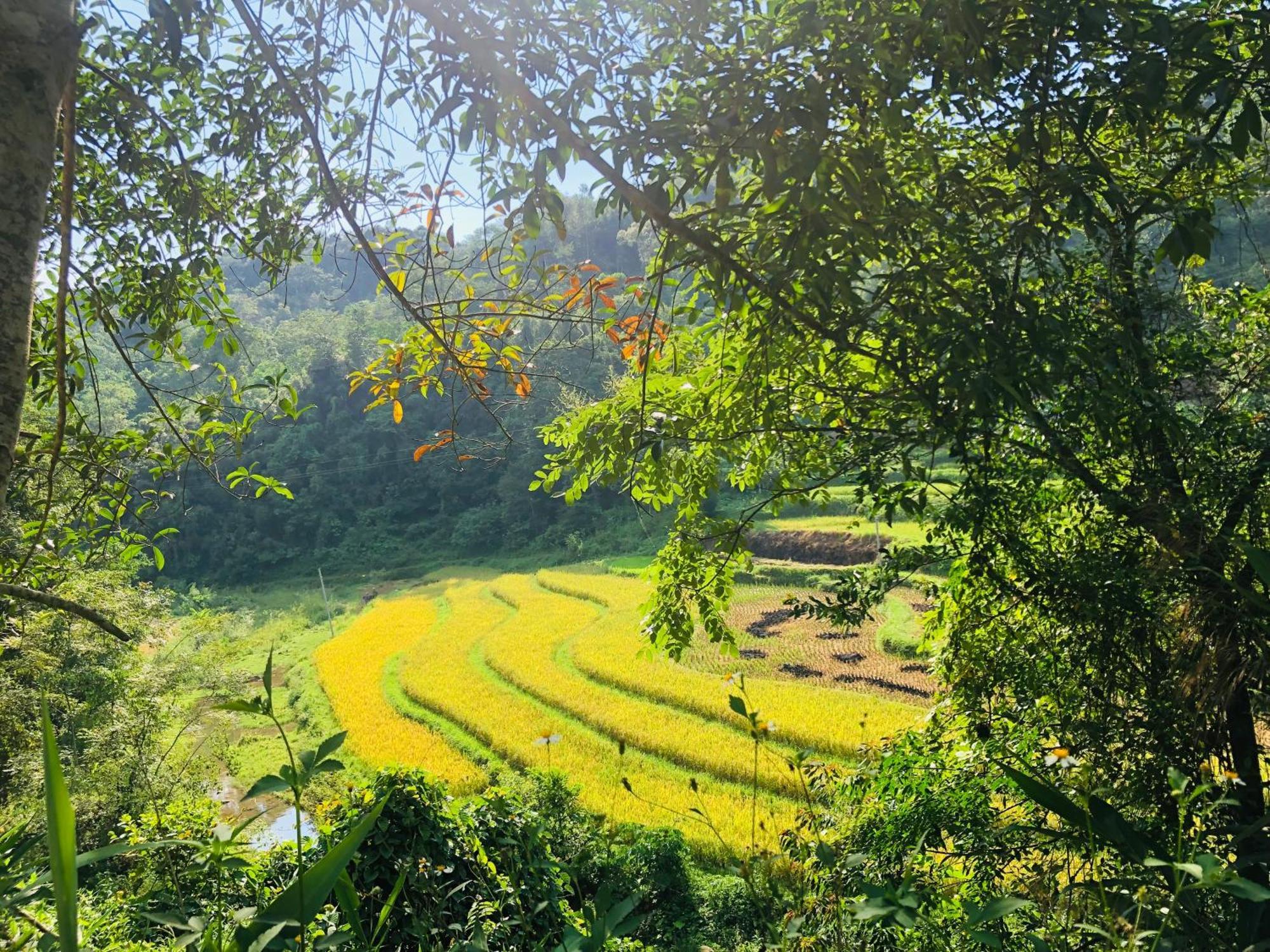 Duong Cong Chich Homestay Lang Son Екстер'єр фото